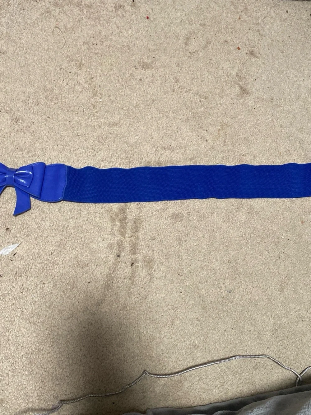 Women’s Bow Accent Elastic Belt in Royal Blue
